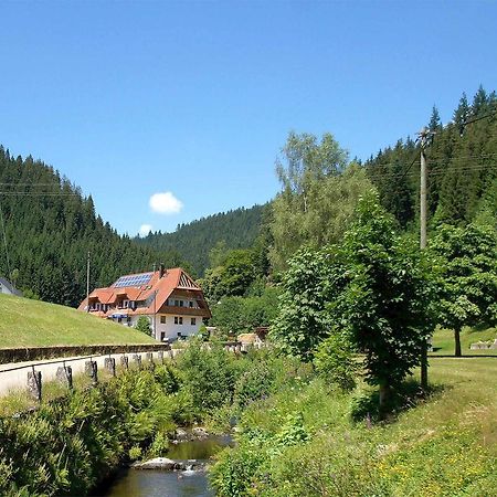 Gastehaus Herrmann Bad Rippoldsau-Schapbach Dış mekan fotoğraf