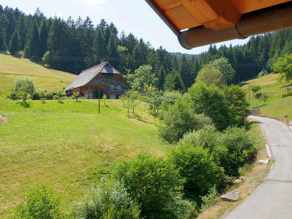 Gastehaus Herrmann Bad Rippoldsau-Schapbach Dış mekan fotoğraf