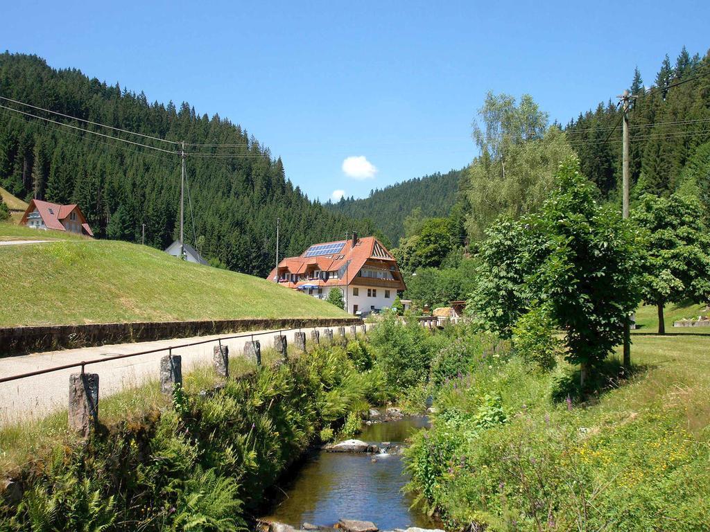 Gastehaus Herrmann Bad Rippoldsau-Schapbach Dış mekan fotoğraf