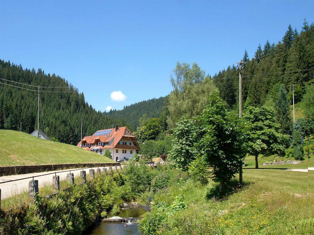 Gastehaus Herrmann Bad Rippoldsau-Schapbach Dış mekan fotoğraf